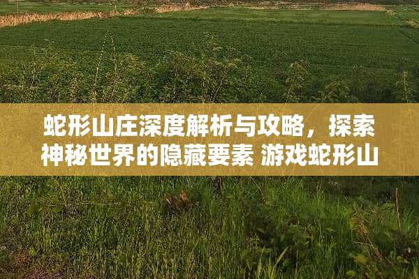 蛇形山庄深度解析与攻略，探索神秘世界的隐藏要素 游戏蛇形山庄攻略