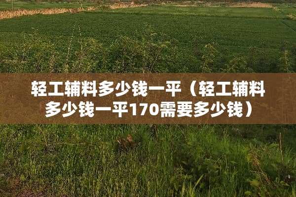 轻工辅料多少钱一平（轻工辅料多少钱一平170需要多少钱）