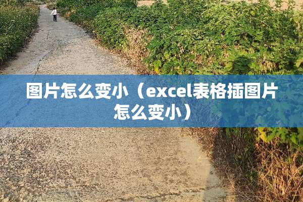 图片怎么变小（excel表格插图片怎么变小）