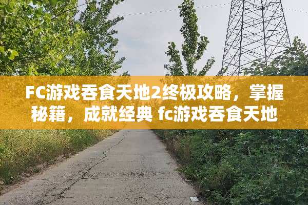 FC游戏吞食天地2终极攻略，掌握秘籍，成就经典 fc游戏吞食天地2攻略