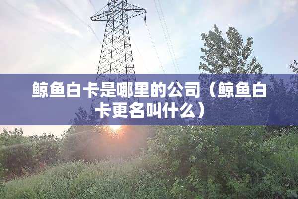 鲸鱼白卡是哪里的公司（鲸鱼白卡更名叫什么）