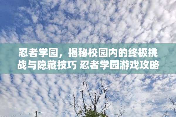 忍者学园，揭秘校园内的终极挑战与隐藏技巧 忍者学园游戏攻略