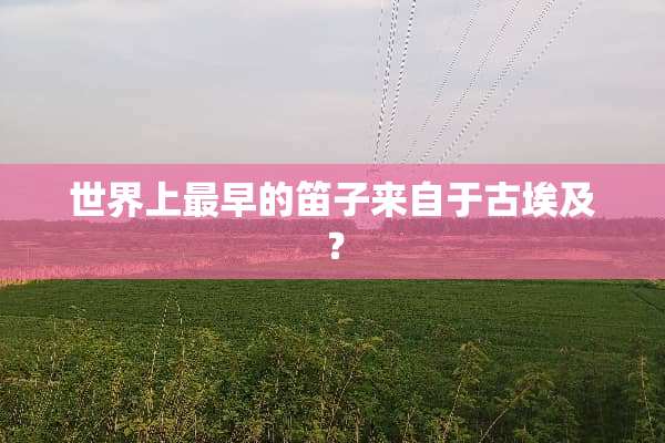 世界上最早的笛子来自于古埃及？