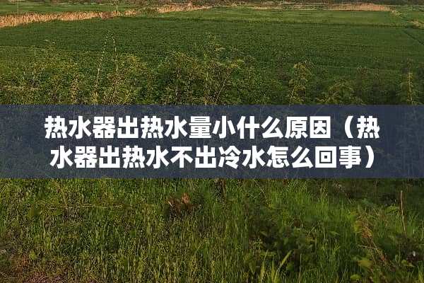 热水器出热水量小什么原因（热水器出热水不出冷水怎么回事）