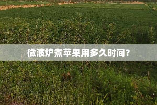 微波炉煮苹果用多久时间？