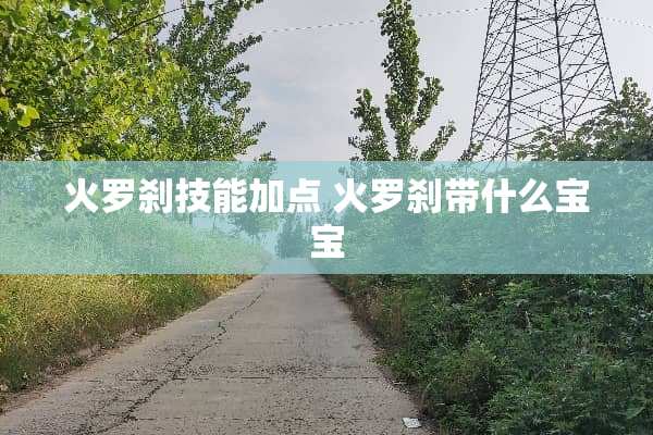 火罗刹技能加点 火罗刹带什么宝宝