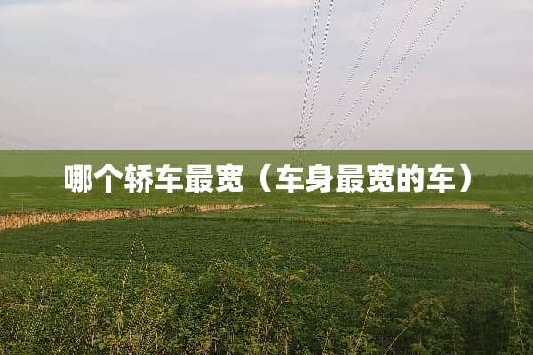 哪个轿车最宽（车身最宽的车）