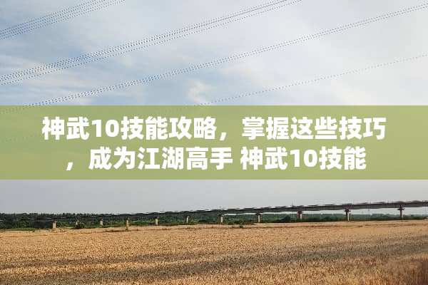 神武10技能攻略，掌握这些技巧，成为江湖高手 神武10技能