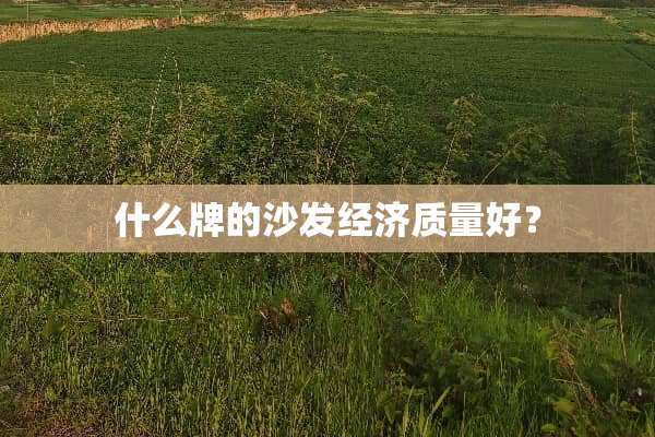 什么牌的沙发经济质量好？