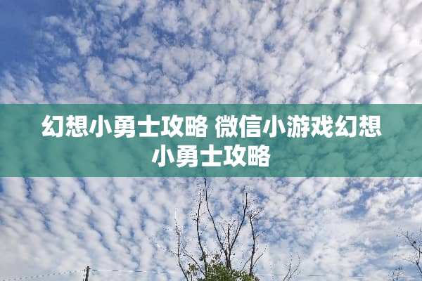 幻想小勇士攻略 微信小游戏幻想小勇士攻略