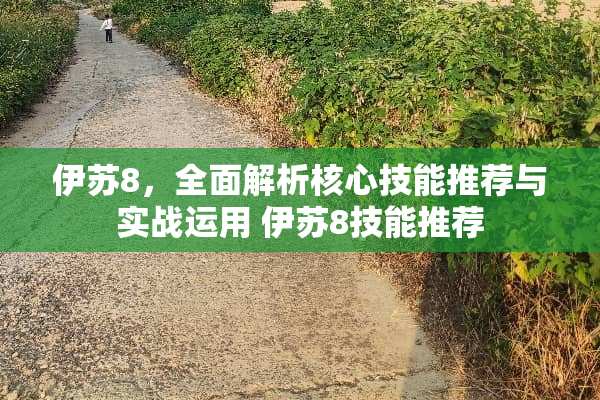 伊苏8，全面解析核心技能推荐与实战运用 伊苏8技能推荐