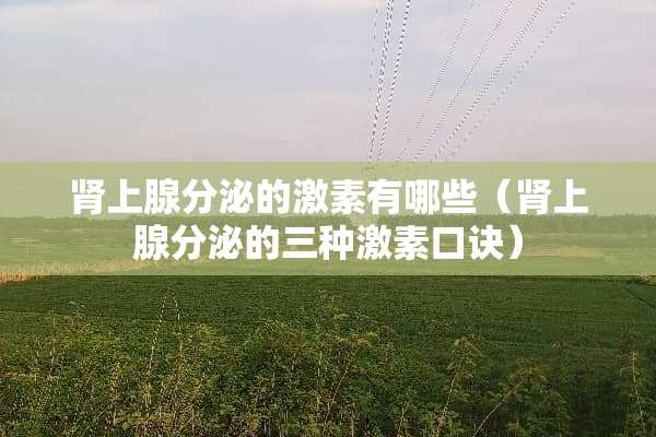 肾上腺分泌的激素有哪些（肾上腺分泌的三种激素口诀）