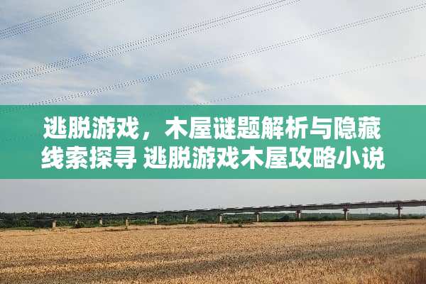 逃脱游戏，木屋谜题解析与隐藏线索探寻 逃脱游戏木屋攻略小说