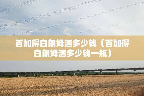 百加得白朗姆酒多少钱（百加得白朗姆酒多少钱一瓶）