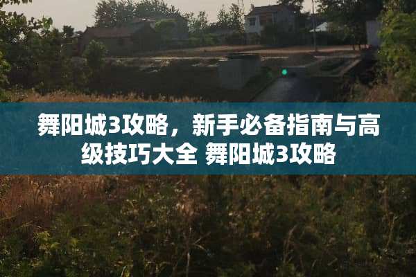 舞阳城3攻略，新手必备指南与高级技巧大全 舞阳城3攻略