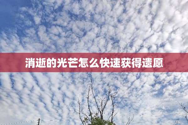 消逝的光芒怎么快速获得遗愿