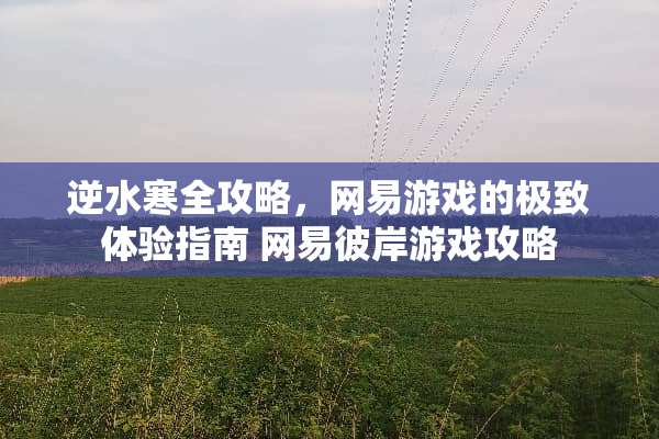 逆水寒全攻略，网易游戏的极致体验指南 网易彼岸游戏攻略