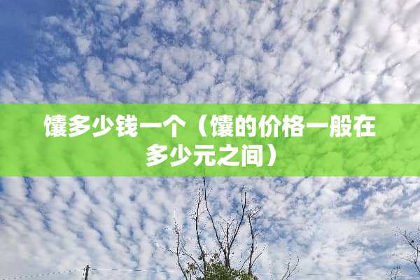 馕多少钱一个（馕的价格一般在多少元之间）