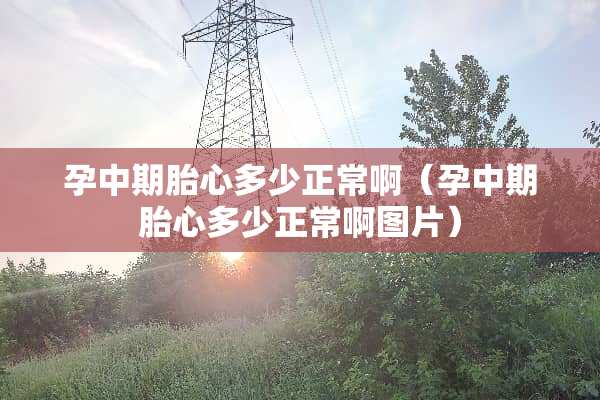 孕中期胎心多少正常啊（孕中期胎心多少正常啊图片）