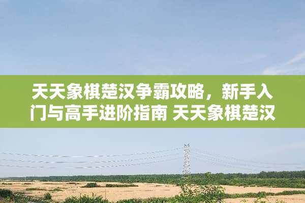 天天象棋楚汉争霸攻略，新手入门与高手进阶指南 天天象棋楚汉争霸攻略