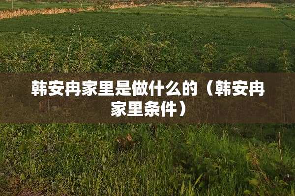 韩安冉家里是做什么的（韩安冉家里条件）