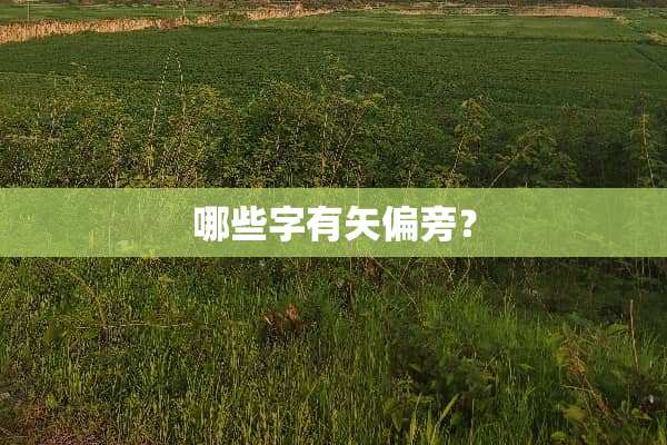 哪些字有矢偏旁？
