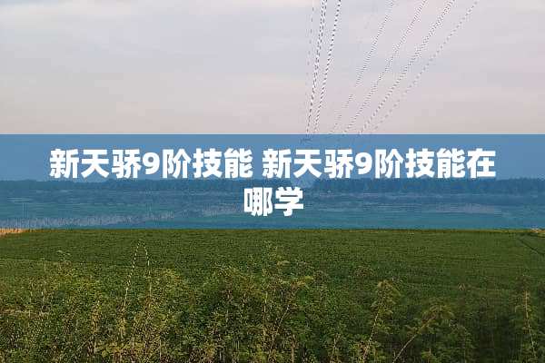 新天骄9阶技能 新天骄9阶技能在哪学