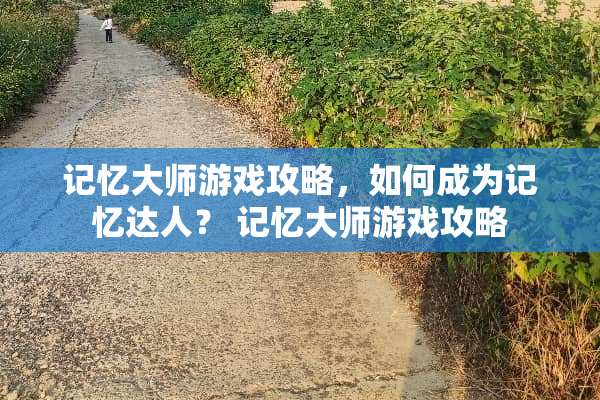 记忆大师游戏攻略，如何成为记忆达人？ 记忆大师游戏攻略