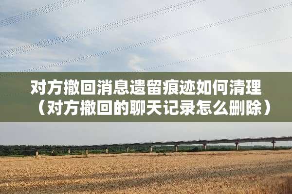 对方撤回消息遗留痕迹如何清理（对方撤回的聊天记录怎么删除）