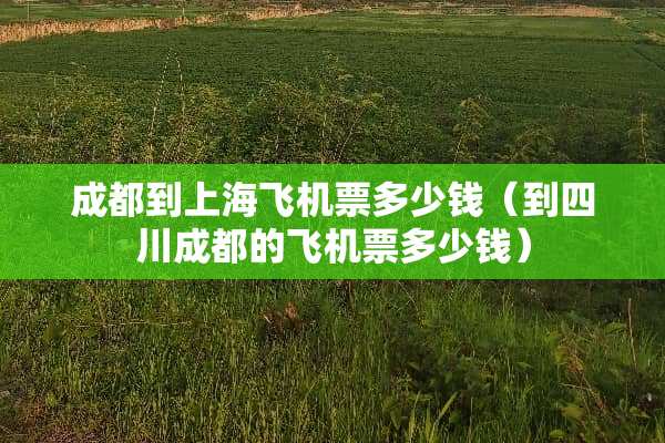 成都到上海飞机票多少钱（到四川成都的飞机票多少钱）