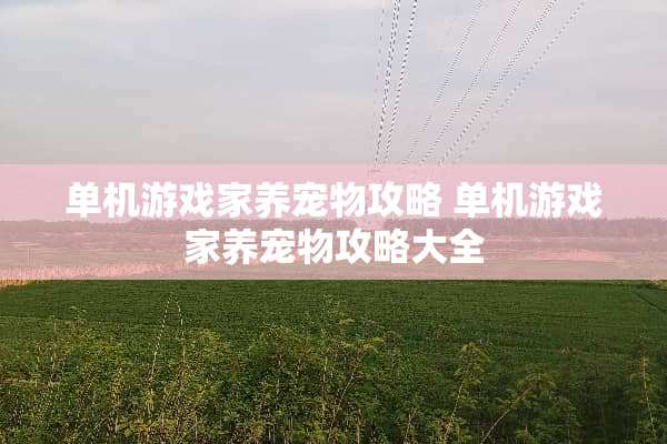 单机游戏家养宠物攻略 单机游戏家养宠物攻略大全