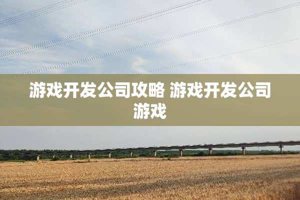 游戏开发公司攻略 游戏开发公司游戏