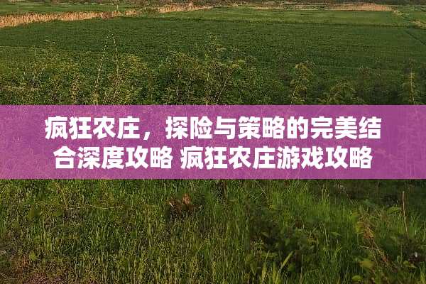 疯狂农庄，探险与策略的完美结合深度攻略 疯狂农庄游戏攻略