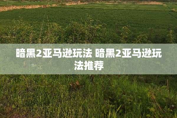 暗黑2亚马逊玩法 暗黑2亚马逊玩法推荐