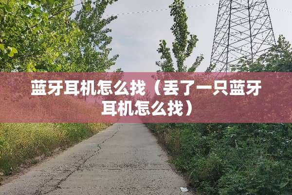 蓝牙耳机怎么找（丢了一只蓝牙耳机怎么找）