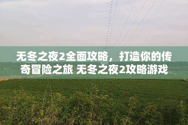 无冬之夜2全面攻略，打造你的传奇冒险之旅 无冬之夜2攻略游戏