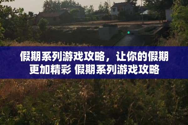 假期系列游戏攻略，让你的假期更加精彩 假期系列游戏攻略
