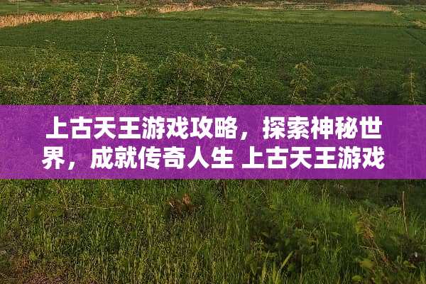 上古天王游戏攻略，探索神秘世界，成就传奇人生 上古天王游戏攻略