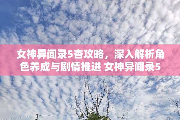 女神异闻录5杏攻略，深入解析角色养成与剧情推进 女神异闻录5杏攻略