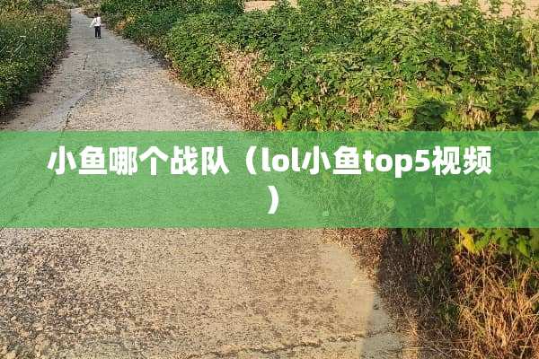 小鱼哪个战队（lol小鱼top5视频）