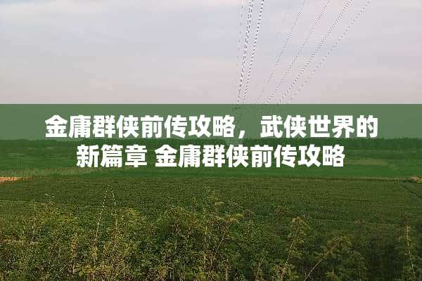 金庸群侠前传攻略，武侠世界的新篇章 金庸群侠前传攻略