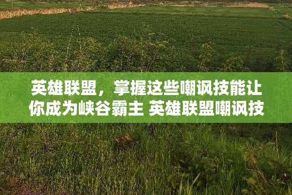 英雄联盟，掌握这些嘲讽技能让你成为峡谷霸主 英雄联盟嘲讽技能