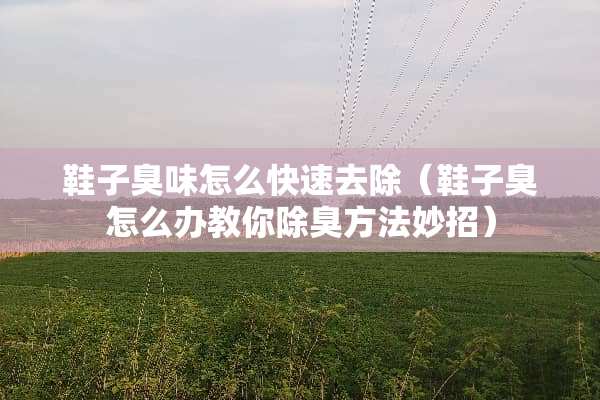 鞋子臭味怎么快速去除（鞋子臭怎么办教你除臭方法妙招）