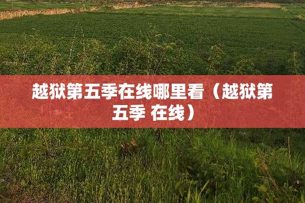 越狱第五季在线哪里看（越狱第五季 在线）
