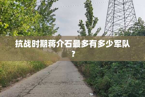 抗战时期***最多有多少**？