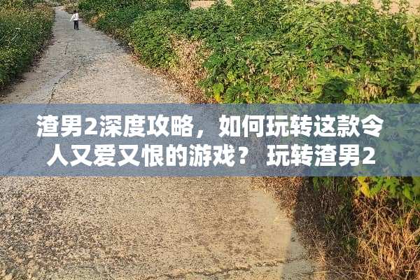 渣男2深度攻略，如何玩转这款令人又爱又恨的游戏？ 玩转渣男2游戏攻略
