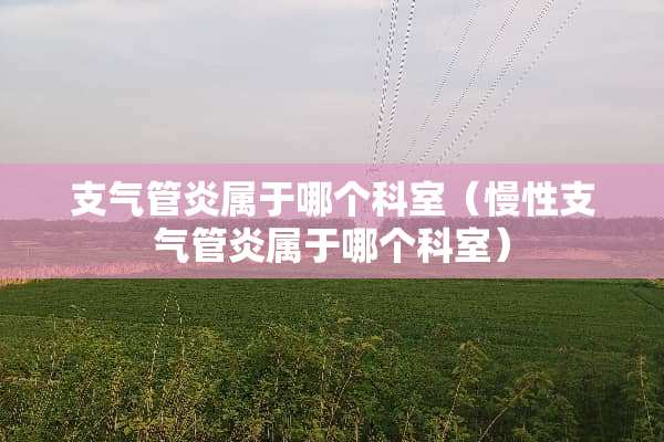 支气管炎属于哪个科室（慢性支气管炎属于哪个科室）