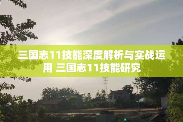 三国志11技能深度解析与实战运用 三国志11技能研究
