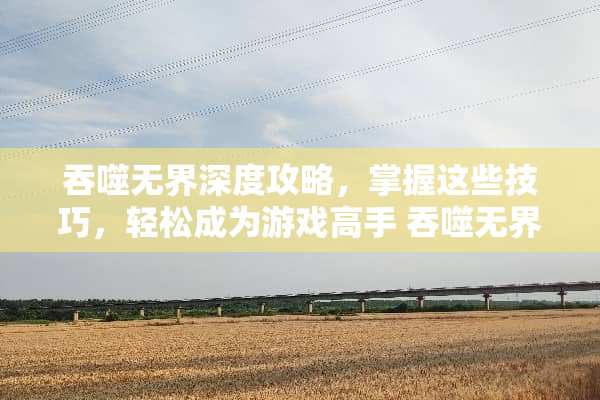 吞噬**深度攻略，掌握这些技巧，轻松成为游戏高手 吞噬**攻略