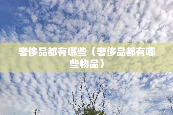 奢侈品都有哪些（奢侈品都有哪些物品）